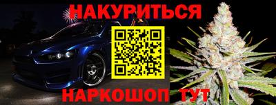 сатива Гатчина