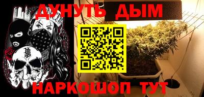 сатива Гатчина