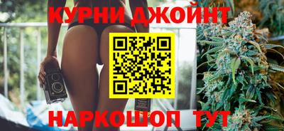 сатива Гатчина