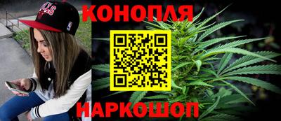 сатива Гатчина