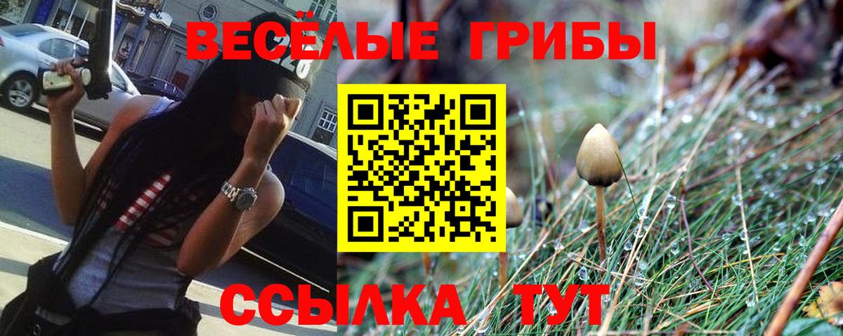 Псилоцибиновые грибы Psilocybe  Вход с VPN  Красноармейск 