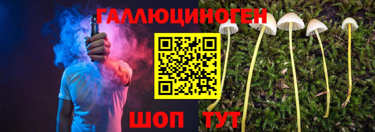 Галлюциногенные грибы Cubensis Красноармейск
